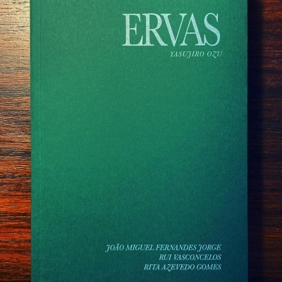 Livro verde escuro com texto branco colocado sobre madeira escura