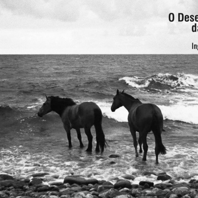 Capa de livro com dois cavalos na praia e no mar e texto 