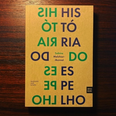 Livro com capa castanha e texto em verde e azul numa mesa de madeira escura