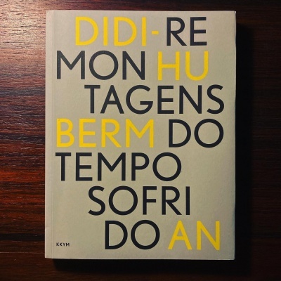 Livro cinzento claro com texto em amarelo e preto na capa, sobre mesa de madeira escura