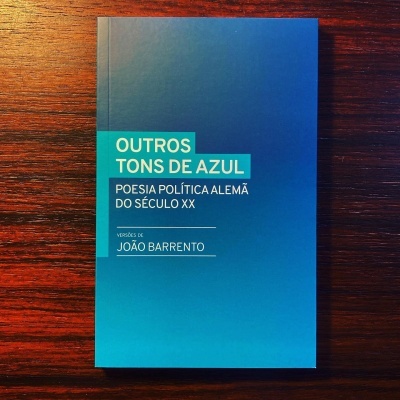 Livro azul titulado Outros Tons de Azul sobre mesa de madeira