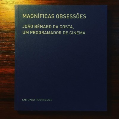 Livro azul escuro com texto dourado e branco na capa sobre mesa de madeira