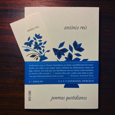 Capa de livro 'poemas quotidianos' de António Reis com folhas azuis sobre fundo branco e separador com padrão similar.