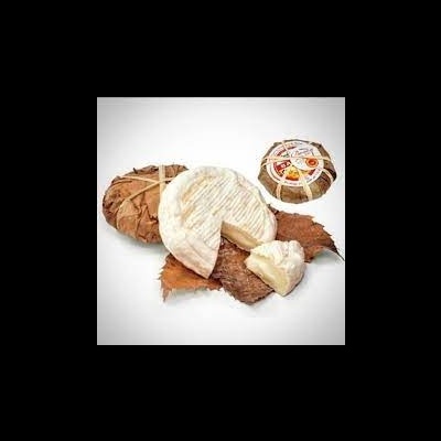 Queijos redondos com interior cremoso em folhas secas