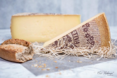 Pedaço de queijo triangular com casca estampada, pão partido e grande pedaço de queijo ao fundo