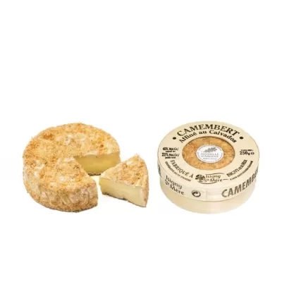 Queijo Camembert em embalagem redonda branca ao lado de queijo com fatia cortada.