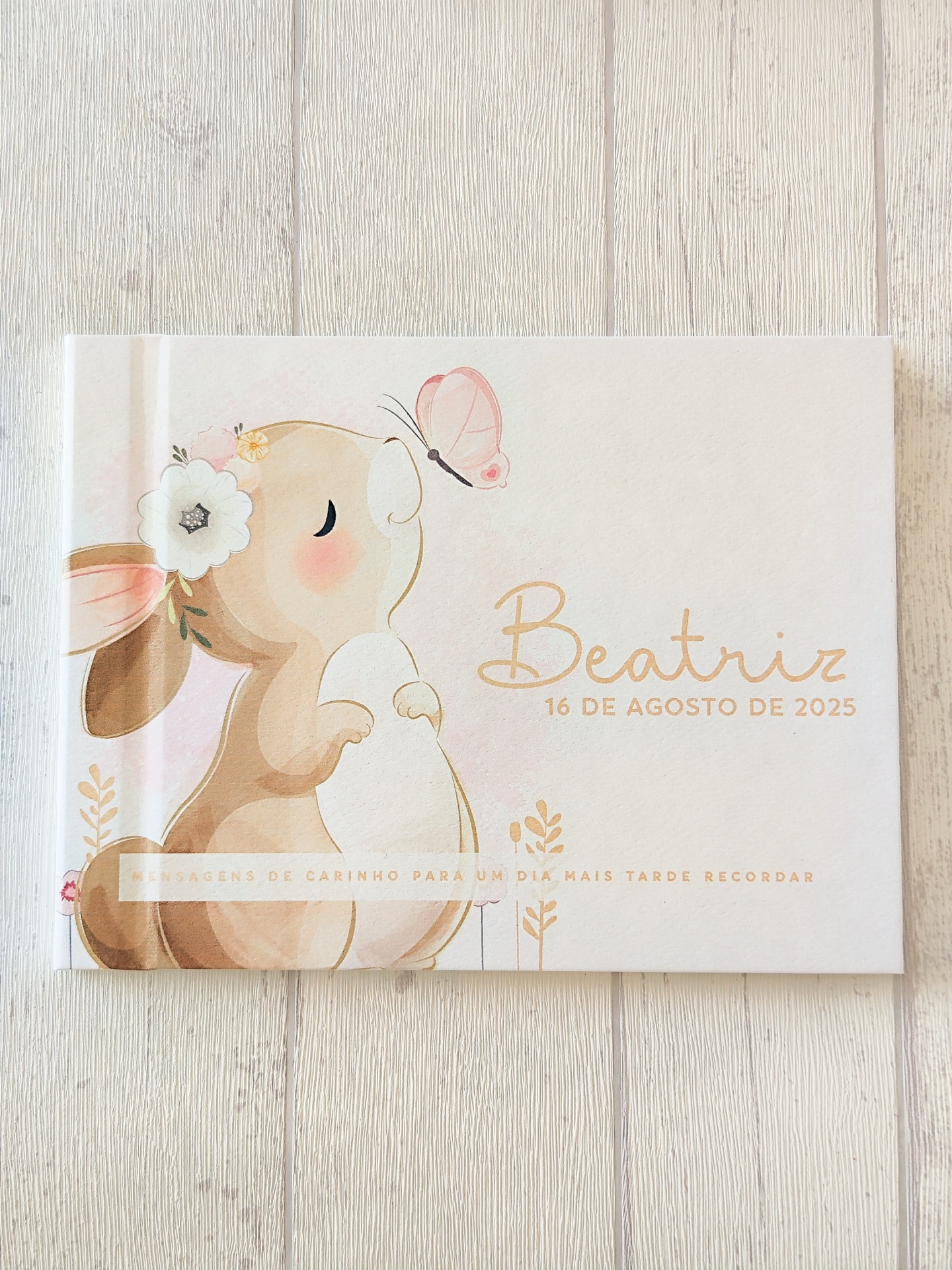 Capa de álbum infantil com ilustração de coelho e borboleta, texto com nome e data