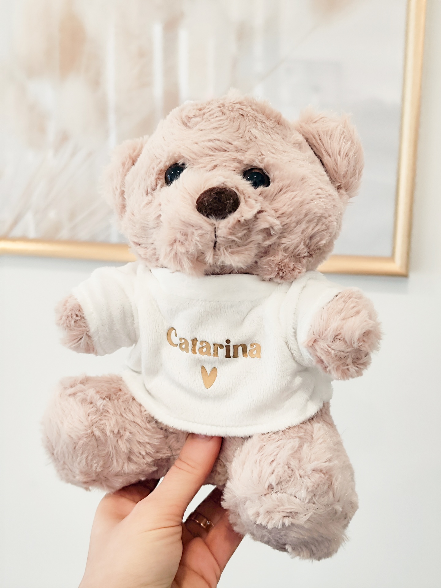 Ursinho de peluche bege com t-shirt branca e texto Catarina