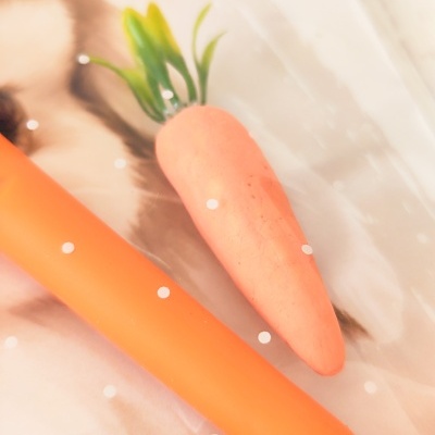 Caneta&#x20;Cenourinha&#x20;&#x2661;