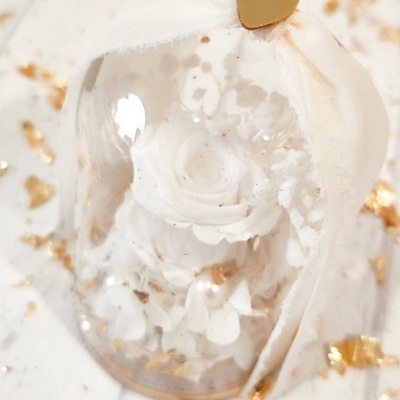 Rosa&#x20;preservada&#x20;em&#x20;c&#x00FA;pula&#x1F339;