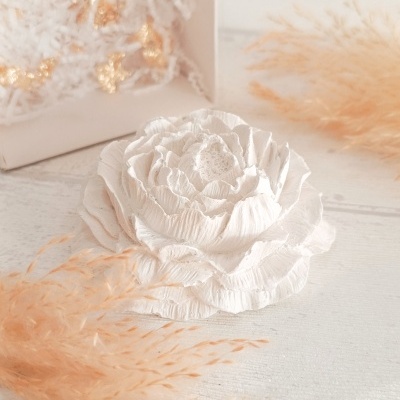 Delicate&#x20;flower&#x20;&#x1F338;