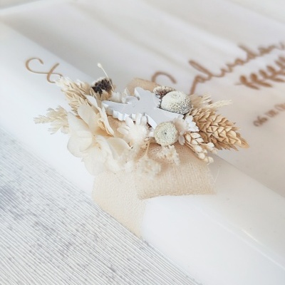 Conjunto&#x20;Salvador&#x20;&#x1F47C;