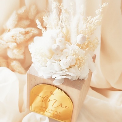 Amor&#x20;em&#x20;Flor&#x20;&#x1F338;