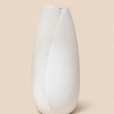 Jarra&#x20;flores&#x20;secas&#x20;e&#x20;gesso&#x20;&#x1F490;