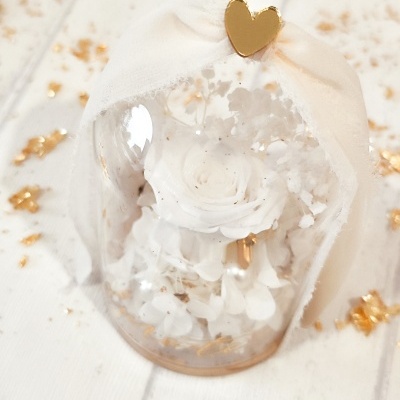 Rosa&#x20;preservada&#x20;em&#x20;c&#x00FA;pula&#x1F339;