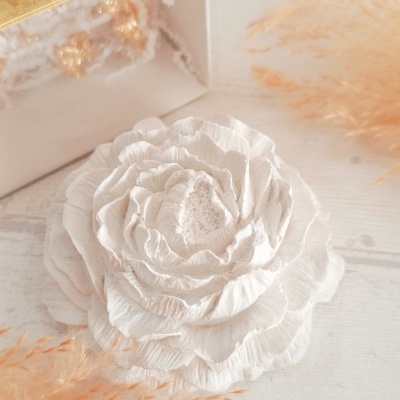 Delicate&#x20;flower&#x20;&#x1F338;