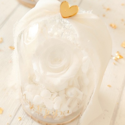 Camp&#x00E2;nula&#x20;rosa&#x20;preservada&#x20;&#x1F339;