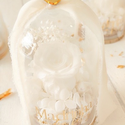 Camp&#x00E2;nula&#x20;rosa&#x20;preservada&#x20;&#x1F339;