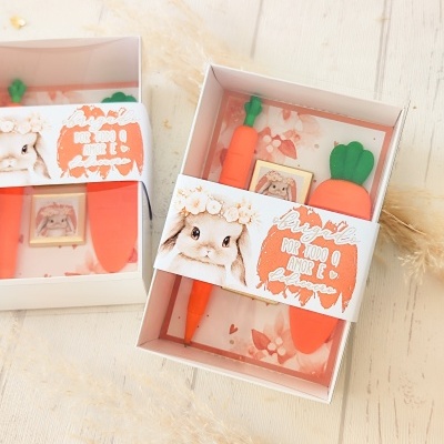 Conjunto de caneta e borracha em forma de cenoura em caixa branca com faixa decorativa e ilustração de coelho