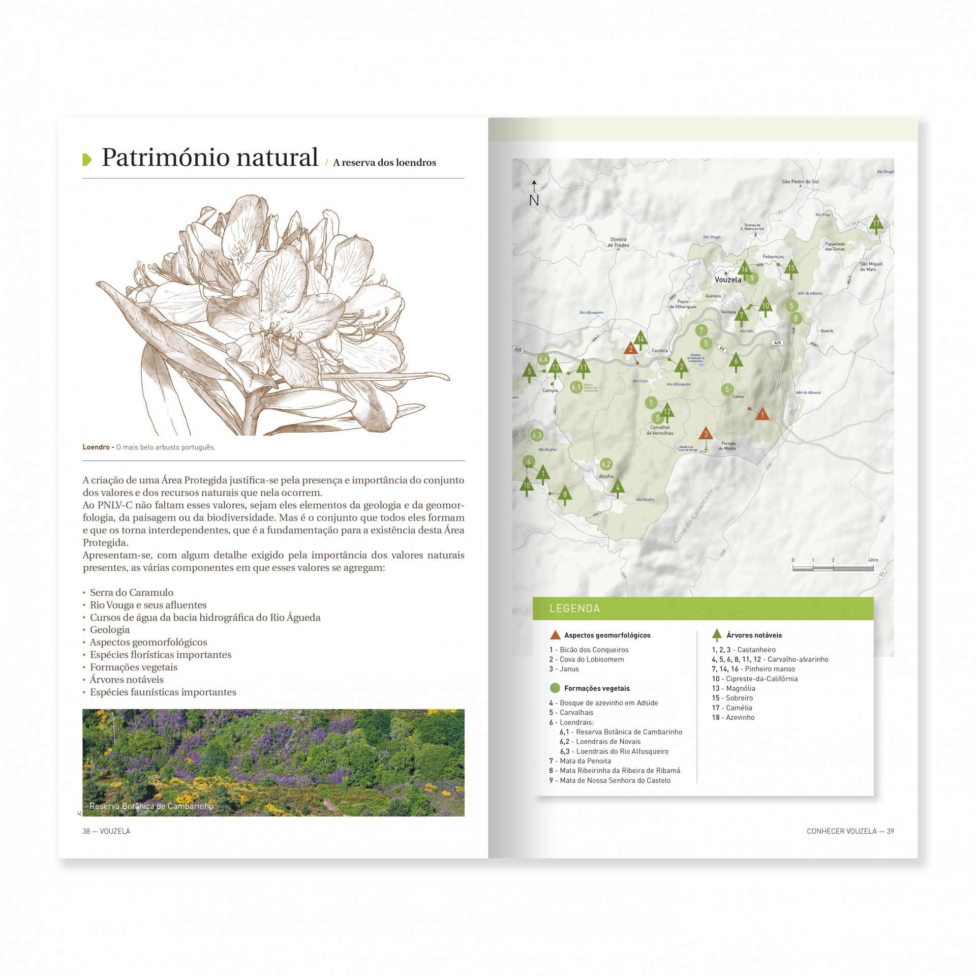 Vouzela: Parque Natural Local Vouga-Caramulo Página dupla com ilustração de flor, texto, fotografia de paisagem e mapa topográfico com legendas