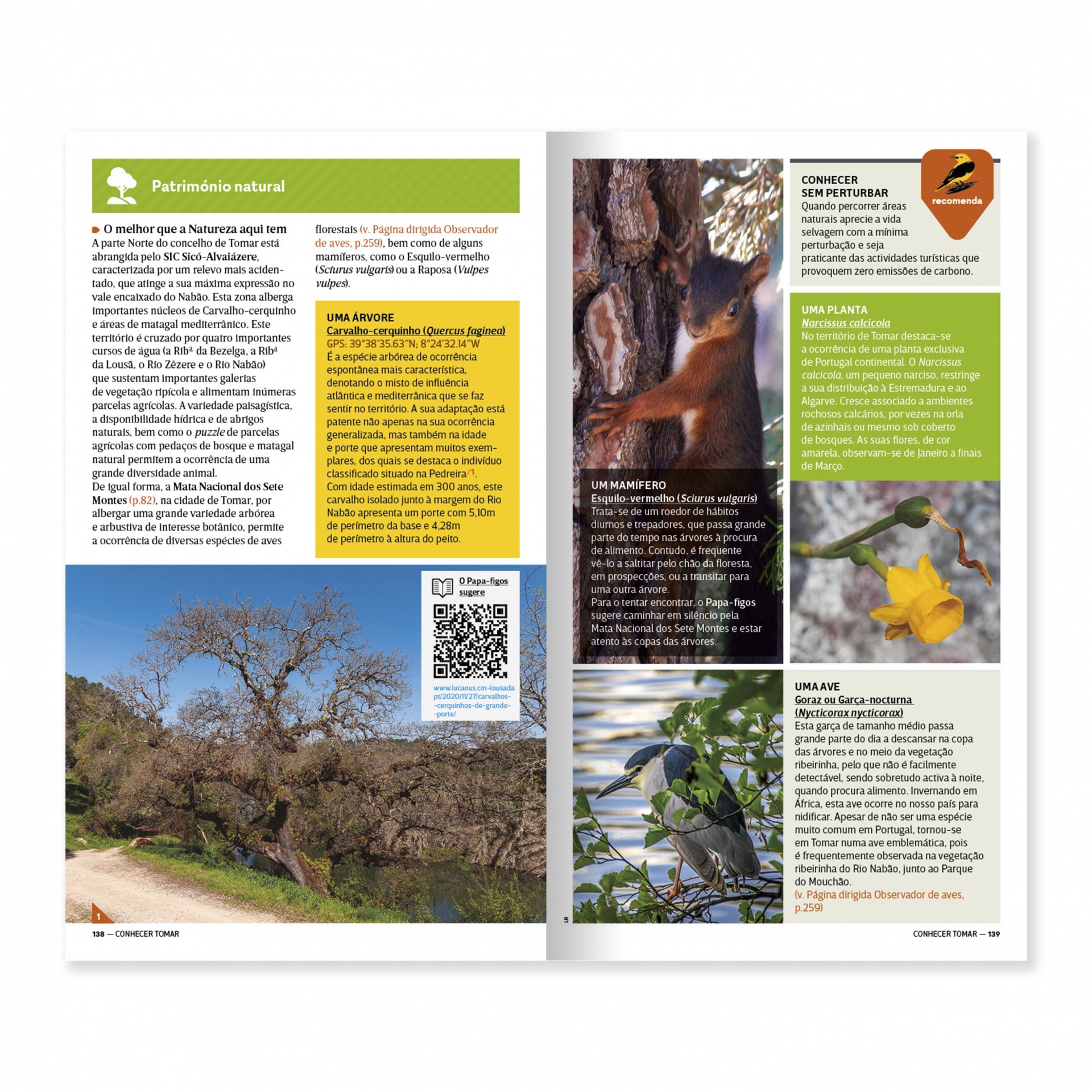 Tomar: A cidade templária Revista aberta com texto em português, fotos de natureza, árvores e um pássaro preto e branco