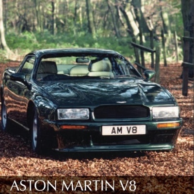 Carro Aston Martin V8 verde escuro numa floresta com folhas secas no chão