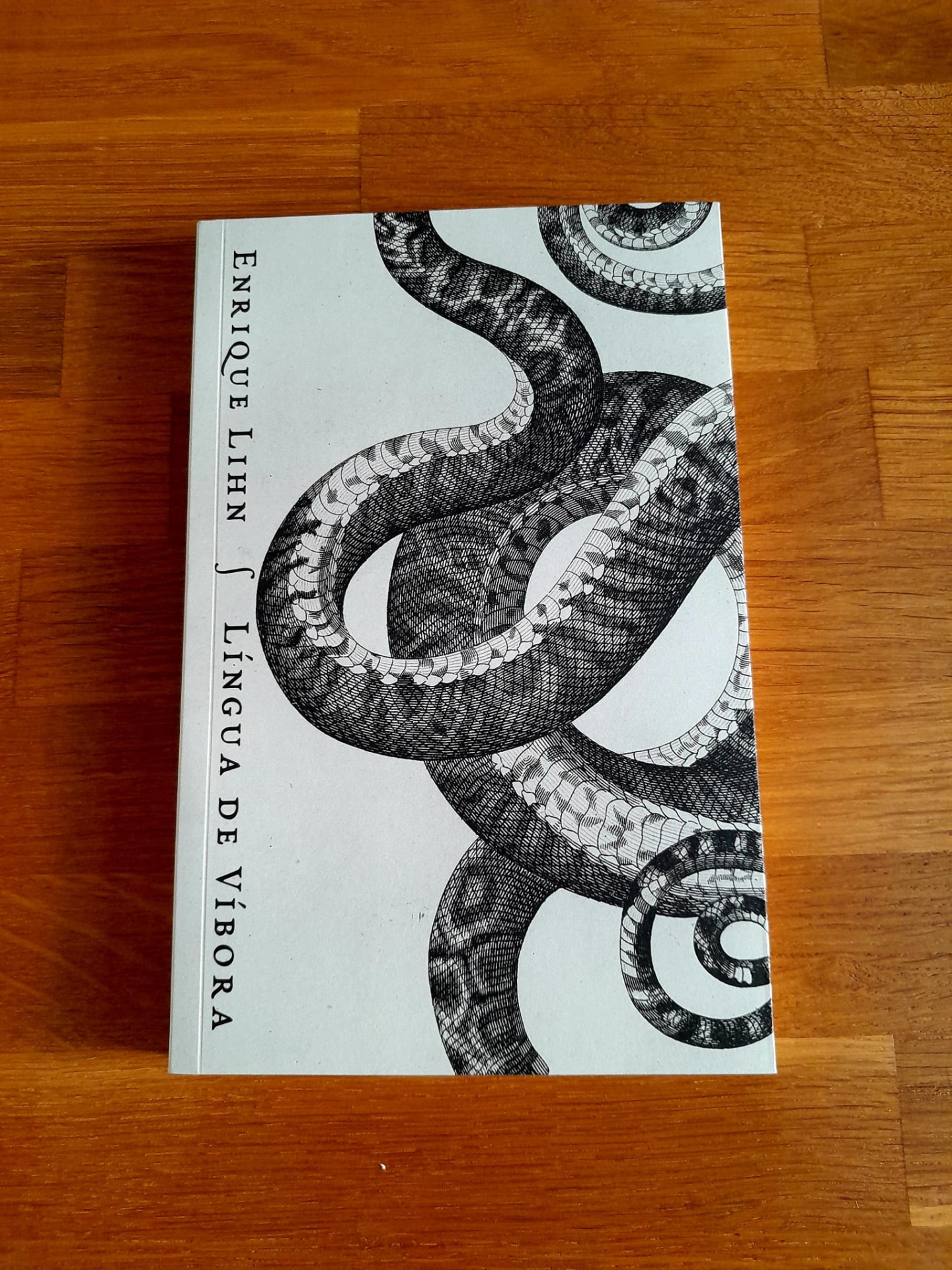 Língua de Víbora, de Enrique Lihn Livro com capa branca com ilustração de cobra e texto ENRIQUE LIHN LÍNGUA DE VÍBORA