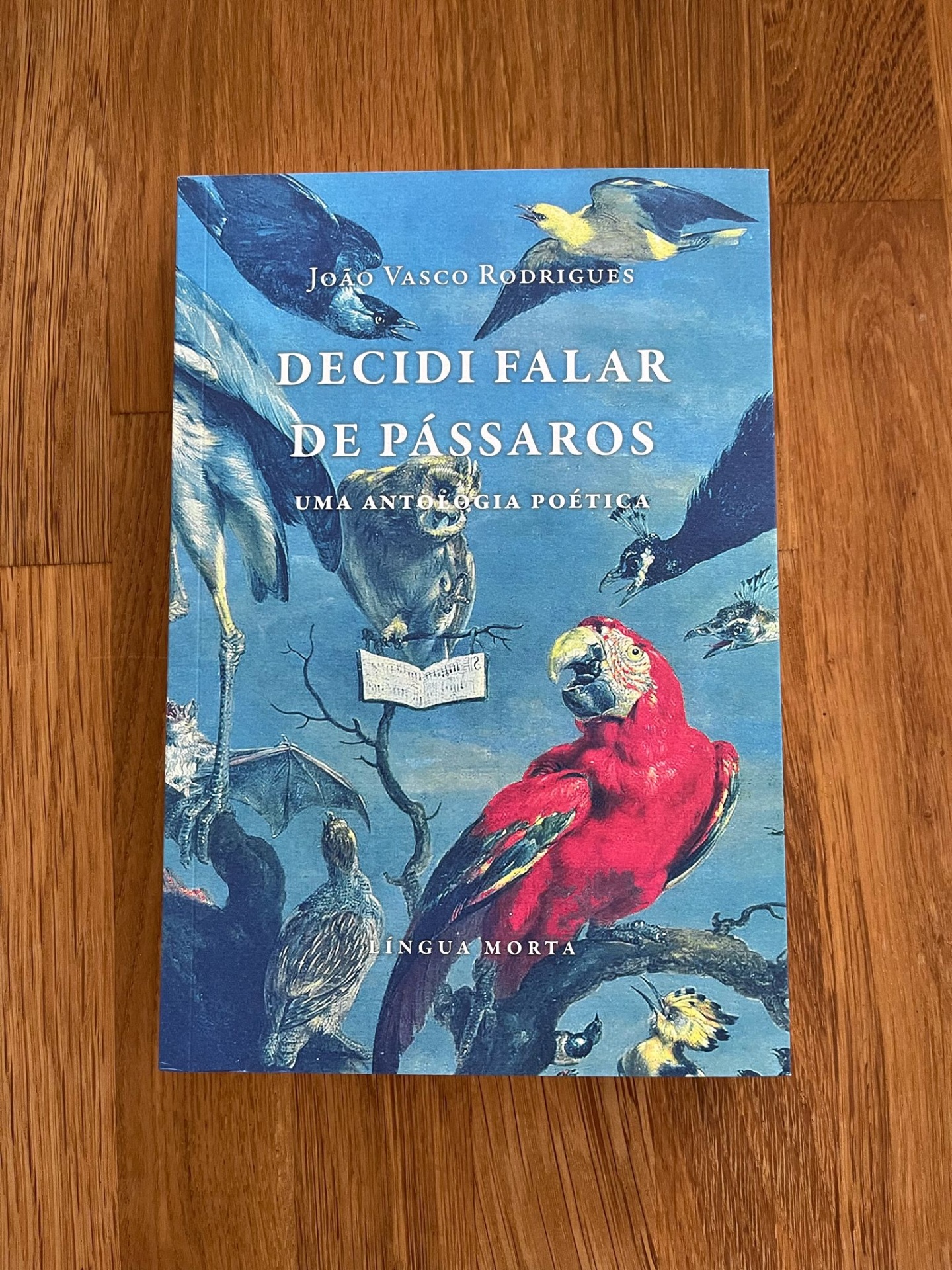 Decidi Falar de Pássaros - Uma Antologia Poética Capa de livro azul com ilustração de pássaros coloridos e título DECIDI FALAR DE PÁSSAROS