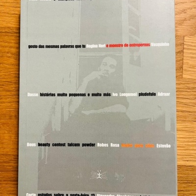 Livro com capa cinza, imagem de pessoa e texto colorido