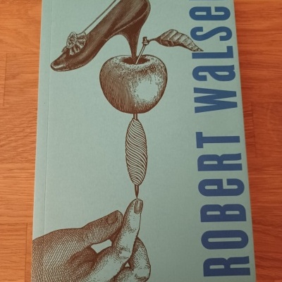 Livro de capa azul clara com ilustração e texto 'ROBERT WALSER'