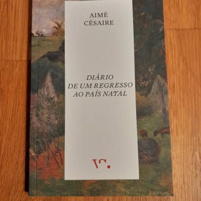 Capa de livro de capa mole com pintura e texto em retângulo branco