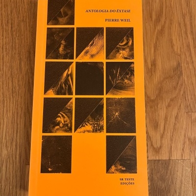 Livro amarelo laranja com quadrados pretos e texto na capa sobre chão de madeira