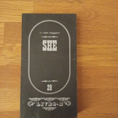 Livro preto intitulado SHE sobre superfície de madeira