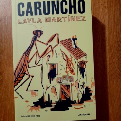 Capa do livro 'CARUNCHO' de Layla Martínez com ilustração de louva-a-deus e casa suja