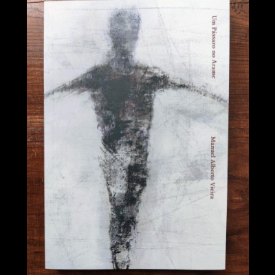 Capa de livro com figura humana desenhada em tons de cinza, texto 'Um Pássaro no Arame' e 'Manuel Alberto Vieira' na vertical