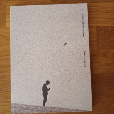 Capa de livro cinzenta com silhueta de pessoa e um pássaro, texto Vertigem interior Abril e João Narciso