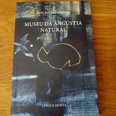 Capa de livro azul escura MUSEU DA ANGÚSTIA NATURAL com ilustração abstrata
