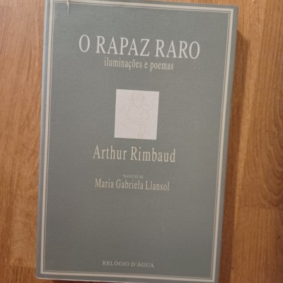Capa de livro cinza com texto branco e dourado com título O RAPAZ RARO