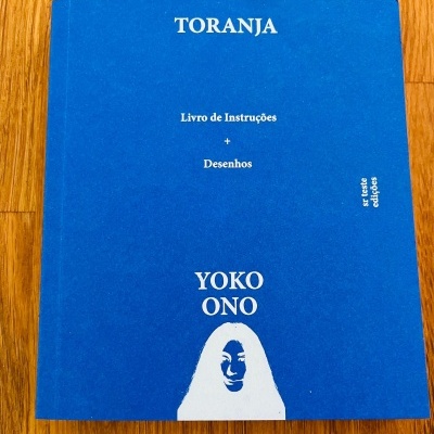 Capa azul de livro com texto branco e imagem de rosto estilizado