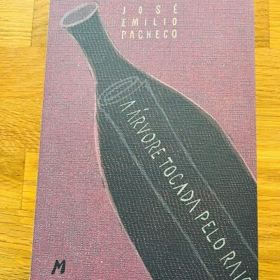 Capa de livro rosa texturizada com ilustração preta e texto branco