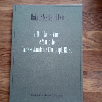 Capa de livro verde com texto em preto e branco sobre chão de madeira