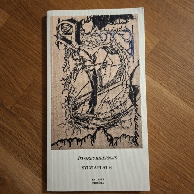 Capa de livro branca com ilustração abstrata e texto em preto, sobre chão de madeira.