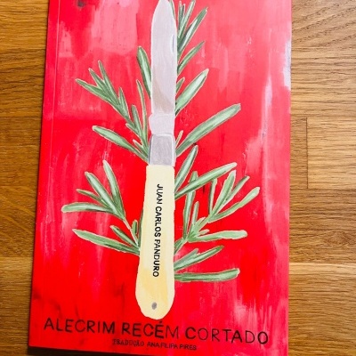 Livro com capa vermelha e ramo de alecrim com faca desenhada