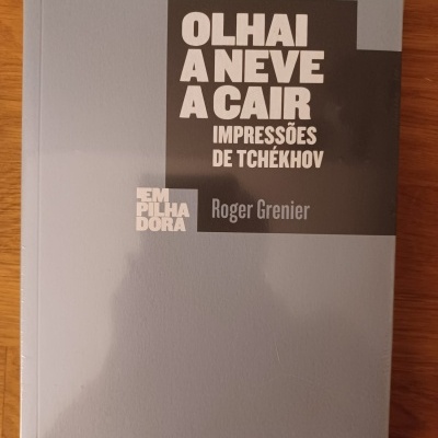 Capa de livro cinza claro com título e nome do autor em retângulo cinza escuro