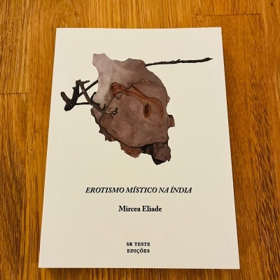 Capa de livro branco com ilustração castanha e texto preto sobre chão de madeira