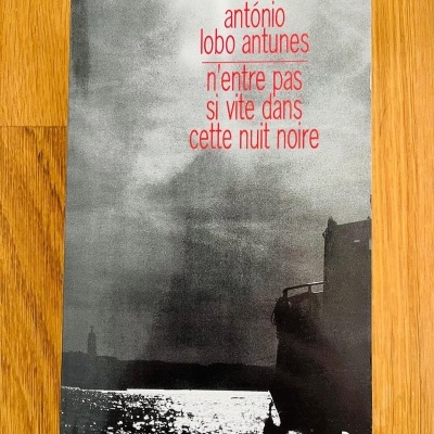 Capa de livro com título e autor em vermelho sobre fotografia a preto e branco de um rio ou mar com reflexo e barco