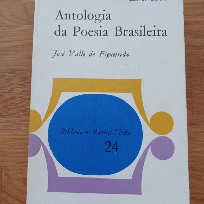 Capa de livro branco com título Antologia da Poesia Brasileira e elementos gráficos coloridos