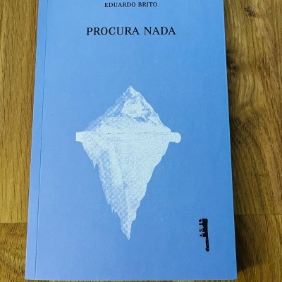 Livro azul PROCURA NADA de Eduardo Brito com imagem de icebergue