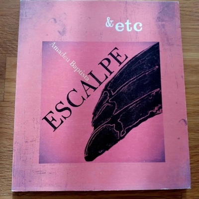 Capa de livro rosa com título ESCALPE e símbolo &etc