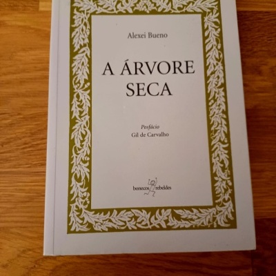 Livro 'A ÁRVORE SECA' com capa branca e moldura dourada sobre madeira.